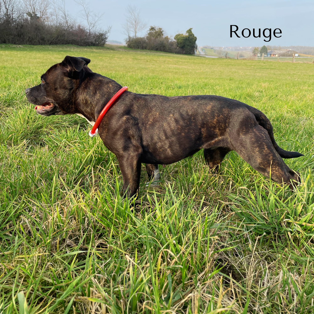 Rouge