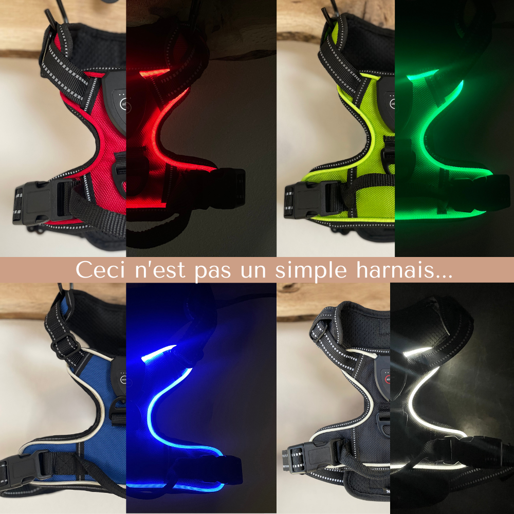 Harnais de sécurité LED visible à 300M
