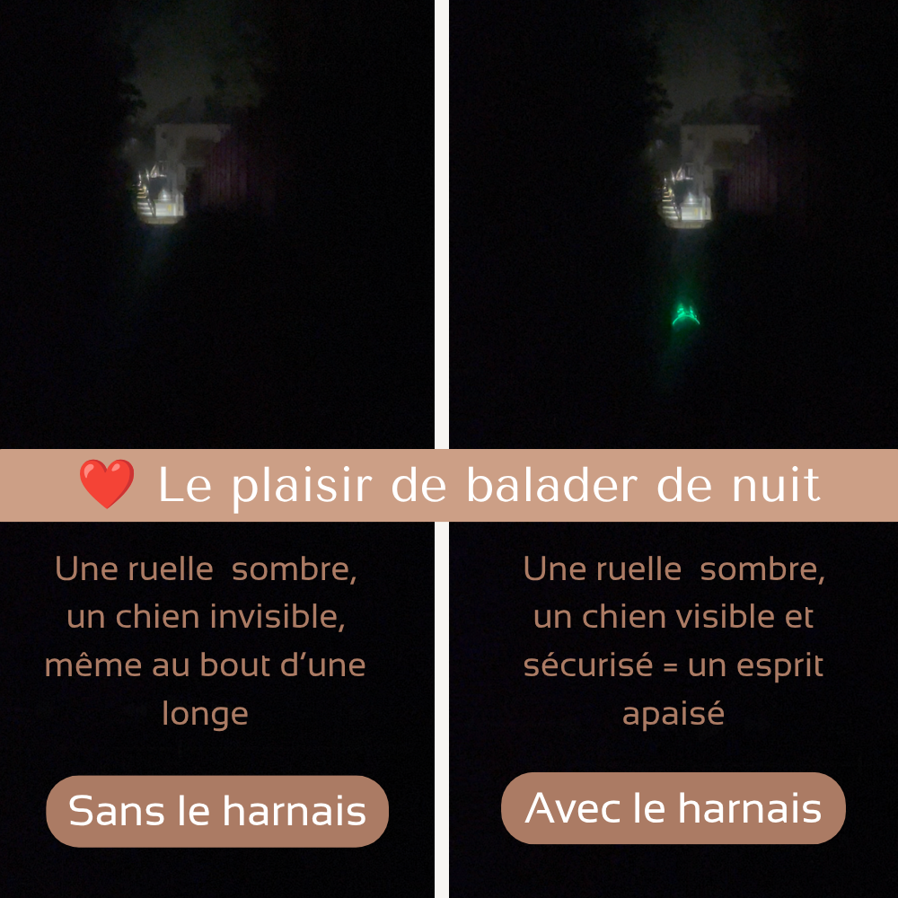 Harnais de sécurité LED visible à 300M