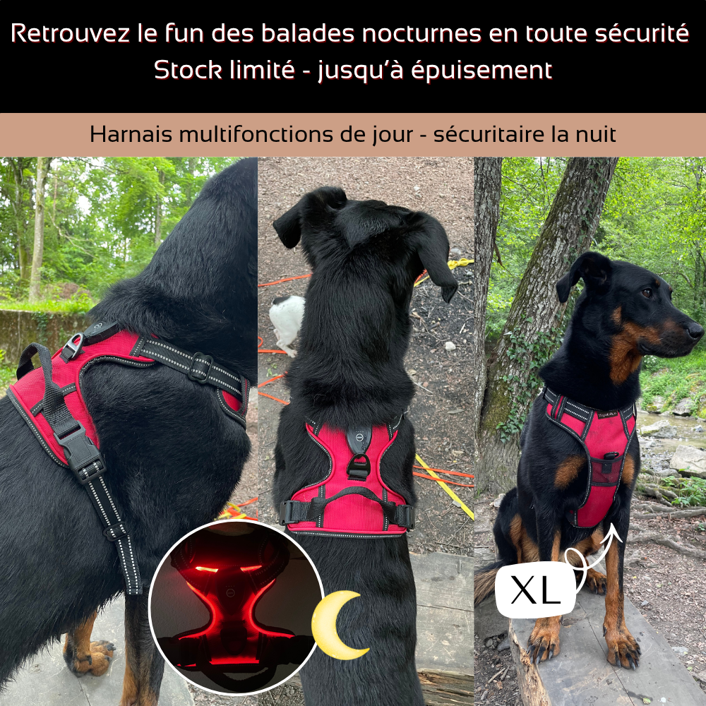 Harnais de sécurité LED visible à 300M