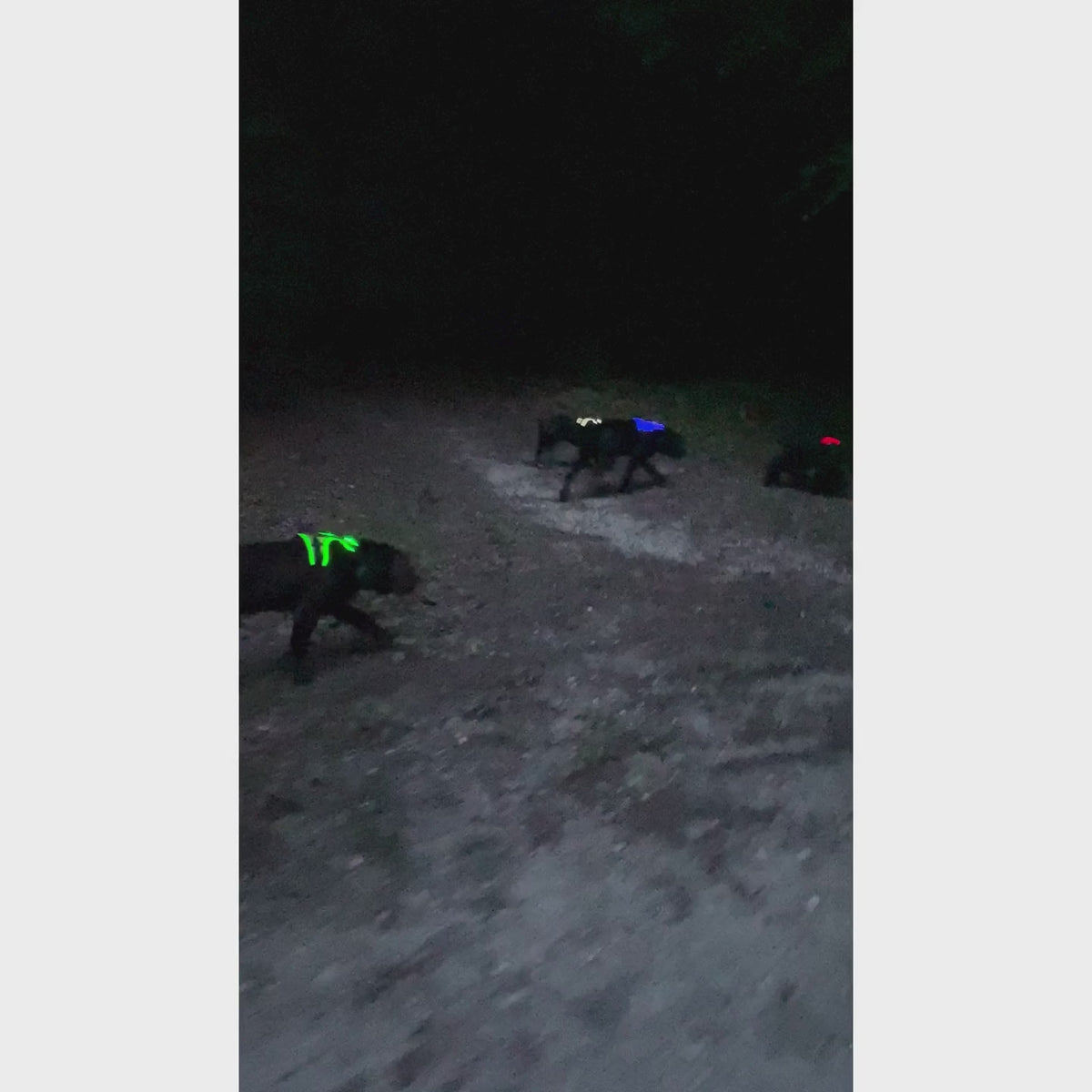 Vidéo