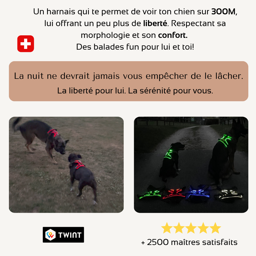 Harnais de sécurité LED visible à 300M